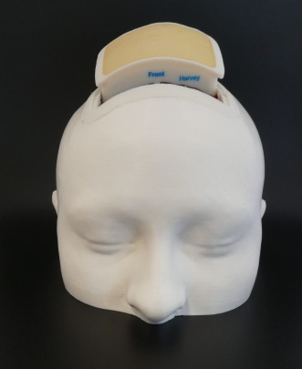 Bone 3D Photo 8