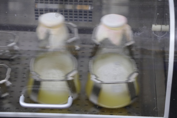 Hangzhou Immuno Biotech Co., Ltd Photo 2