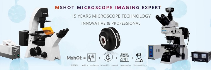Micro-shot Technology Limited Photo 4