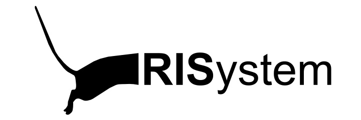 RISystem AG Photo 1