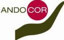 Andocor - logo