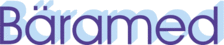 Bäramed Instrumente - logo
