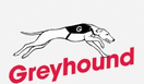 Greyhound Chromatography & Allied Chemicals