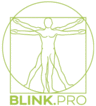 Blink.Pro - logo