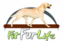 Fit Fur Life - logo