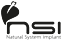 NSI srl