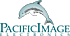 Pacific Image Electronics Co., Ltd