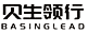 BASINGLEAD