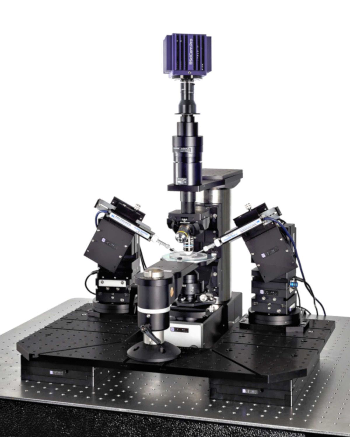 Оптический микроскоп - SliceScope Pro 6000 - Scientifica - для ...