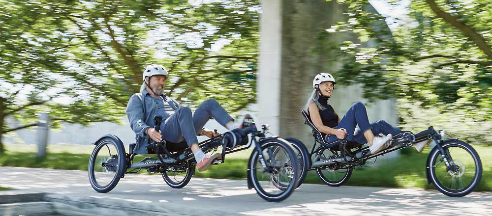 KETTWIESEL EVO - Hase Bikes 