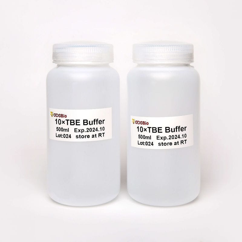 Реактив буферный раствор - TBE - Guangzhou Dongsheng Biotech Co., Ltd ...