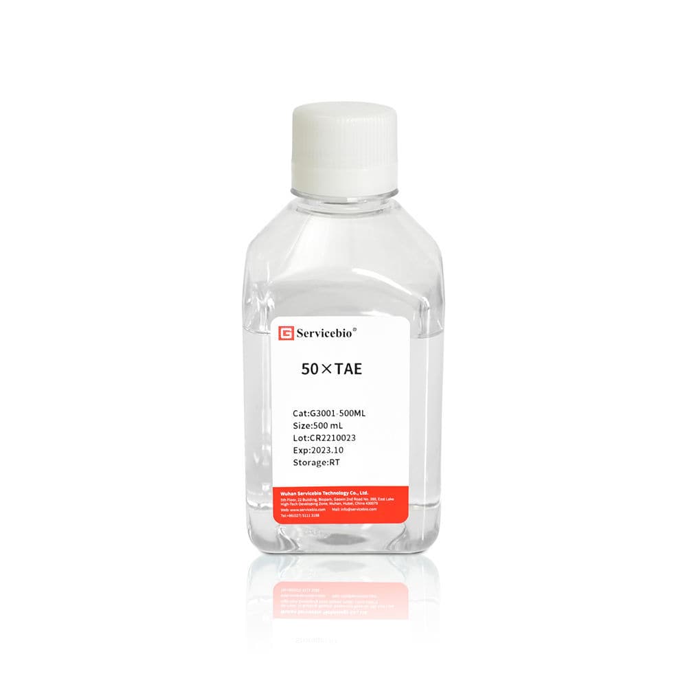 Набор реактивов буферный раствор - G3001-500ML - Servicebio - для ...