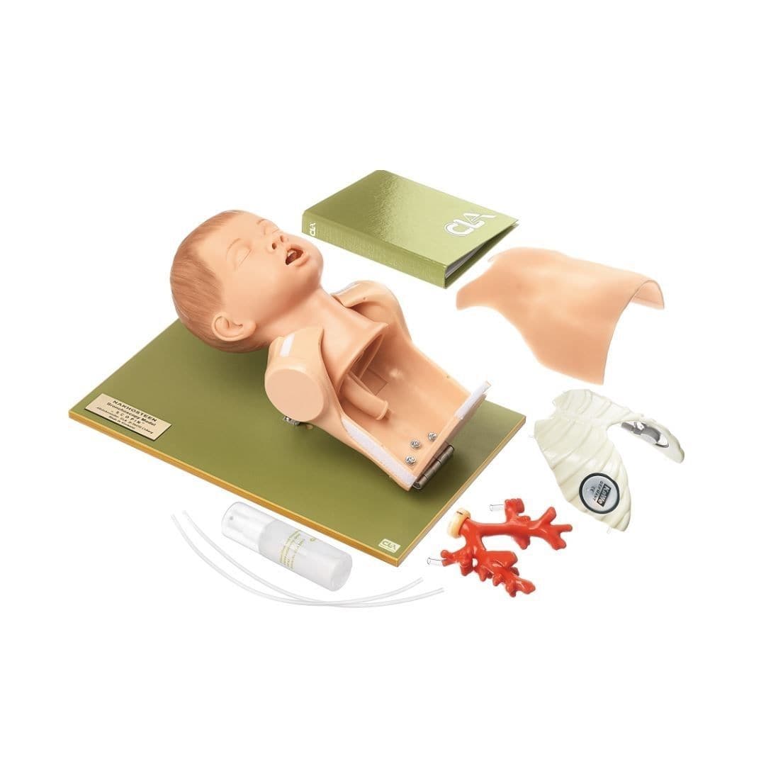 Учебный манекен для оказания общей помощи - Broncho Junior - Coburger ... Учебный манекен для оказания общей помощи - Broncho Junior - Coburger ...