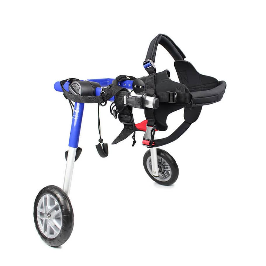Ветеринарная инвалидная коляска для собак - Walkin' Wheels® MEDIUM ...