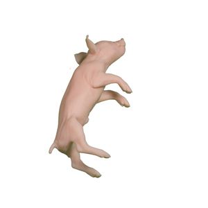 ветеринарный учебный манекен