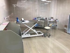 электрический ветеринарный операционный стол 1