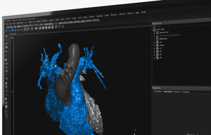 программное обеспечение для визуализации 3D