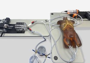 тест-фантом для ультразвуковых исследований