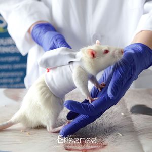 монитор физической активности для поведенческих исследований