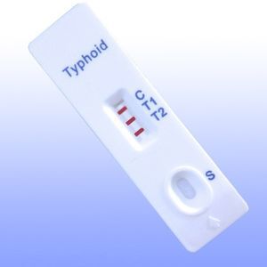 экспресс-тест на брюшной тиф