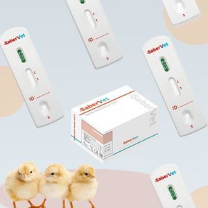 экспресс-тест на инфекционные заболевания 1