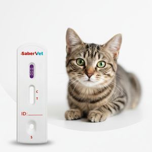 экспресс-тест на инфекционные заболевания 1