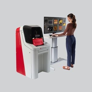 микроскоп SEM