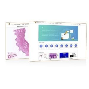 программное обеспечение для обучения