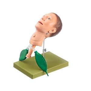 учебный манекен для оказания общей помощи