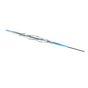 катетер PTCA 1