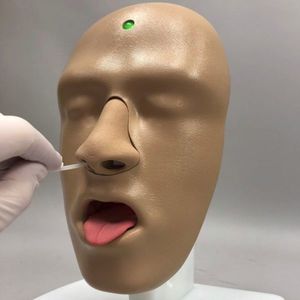 учебный манекен для лечения ЛОР-заболеваний
