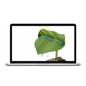 программное обеспечение для визуализации 3D
