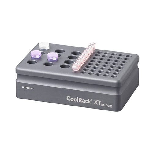 Лабораторный штатив для трубок - CoolRack™ XT - Azenta life sciences - для микроцентрифужных пробирок / для замораживания / для охлаждения
