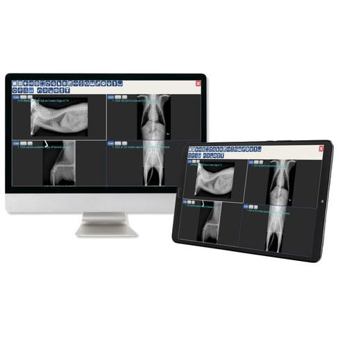 PACS для медицинских снимков - JPI Healthcare Solutions - ветеринарная