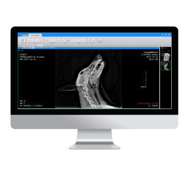 PACS для медицинских снимков - ExamVue  - JPI Healthcare Solutions - ветеринарная