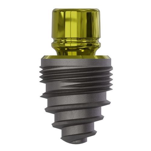 Конический зубной имплантат - 0810 - Champions Implants GmbH - из титана / прямой / короткий