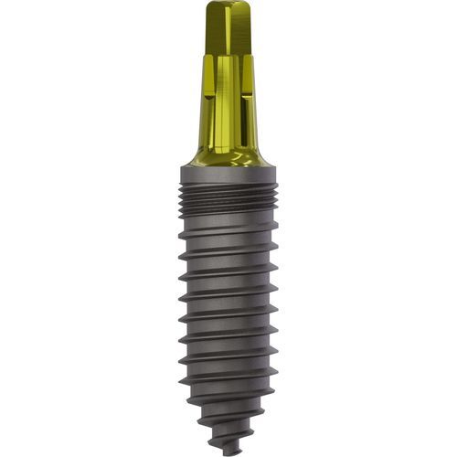 Конический зубной имплантат - 1150 - Champions Implants GmbH - из титана / прямой