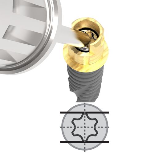 Абатмент из титана - Sub. Hybrid A Ti-Base - Cowellmedi - внутренний / конический / внутренний шестиугольник