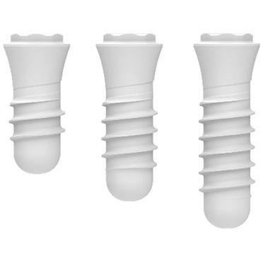 Конический зубной имплантат - ZERAMEX&reg; P6 - Dentalpoint AG - из керамики / внутренний шестиугольник