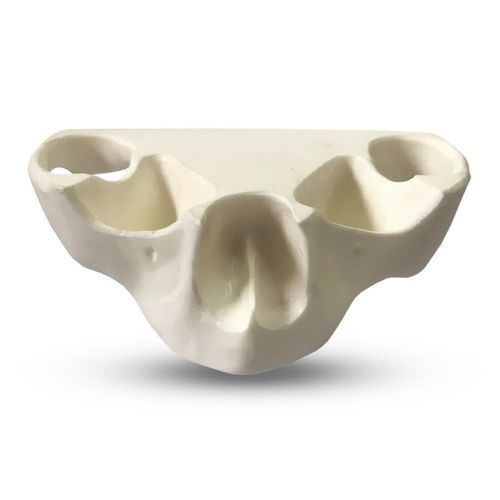 Анатомическая модель серозная оболочка - E36/N - GF DENTAL - синусная / кости / челюсти