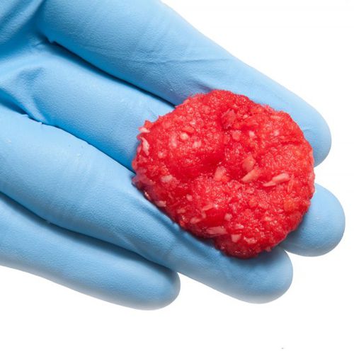 Костный заменитель аллогенный трансплантат - BioAdapt® DBM - RTI Surgical - для ортопедической хирургии / гибкий