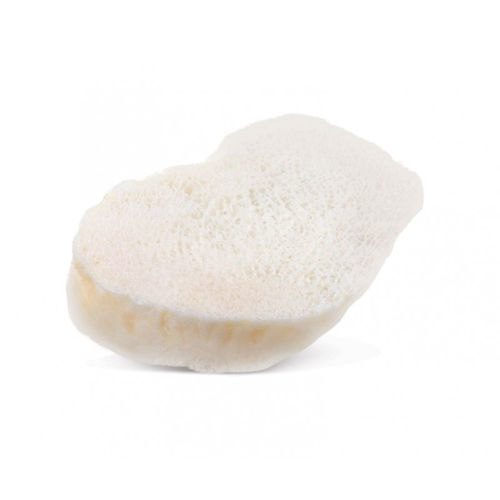 Костный заменитель аллогенный трансплантат - AlloWedge® - RTI Surgical - для ортопедической хирургии / жесткий