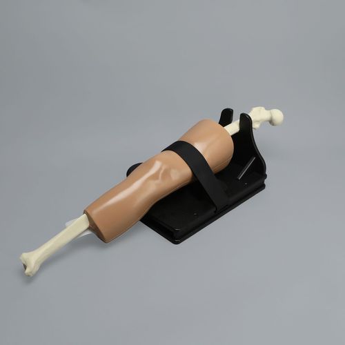 Учебный медицинский симулятор - ALICE Knee - Sawbones/Pacific Research Labs - для оценки / для оказания общей помощи / анатомический
