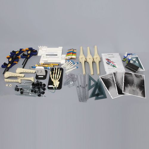 Учебный медицинский симулятор - Orthopaedics in Action® - Sawbones/Pacific Research Labs - для хирургии / анатомический / для сколиоза