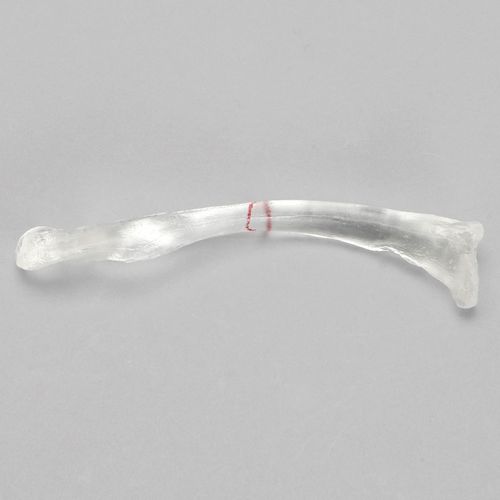Анатомическая модель ключицы - 1020-2-1 - Sawbones/Pacific Research Labs - из пластика