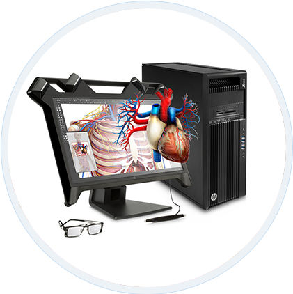 Анатомический медицинский симулятор - EchoPixel True 3D  - Hewlett-Packard - рабочая станция / виртуальной реальности