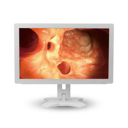 Медицинский монитор - MMS-21C series - BriteMED Technology - для эндоскопии / Full HD / VGA