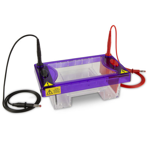 Система электрофореза для PCR - MSMIDI series - Cleaver Scientific - горизонтальная / настольная