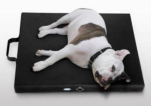 Установка для магнитотерапии для собак - Centurion Kennel  - Centurion Systems - матрац