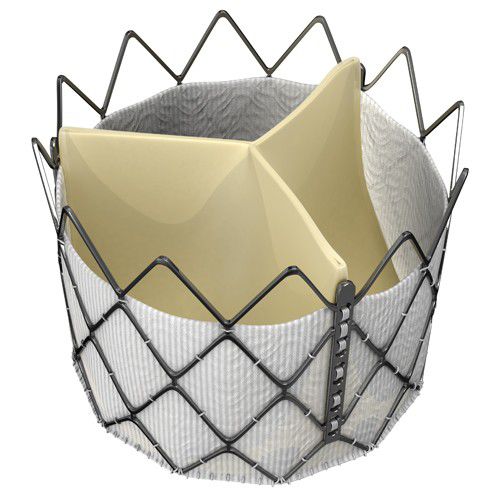 Аортальный биопротез клапана сердца - INOVARE® - Braile Biomedica - из тканей крупного рогатого скота / без шва